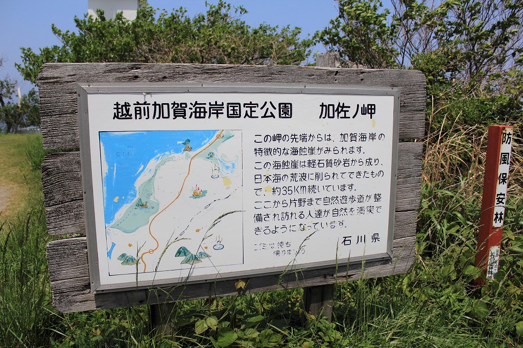 写真: IMG_8719js1024 290k