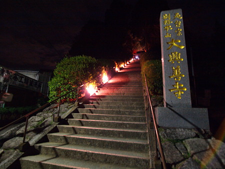 大興善寺の紅葉ライトアップ 路傍の花たち