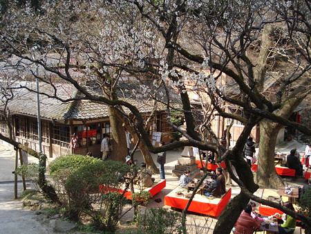 DSC00801