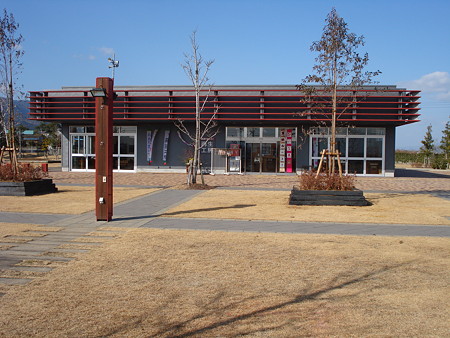 DSC00703