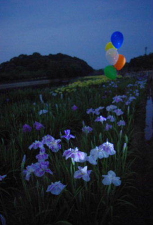 IMGP5625_0708