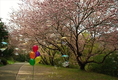 IMGP8730_0321