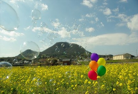 IMGP9462_0322