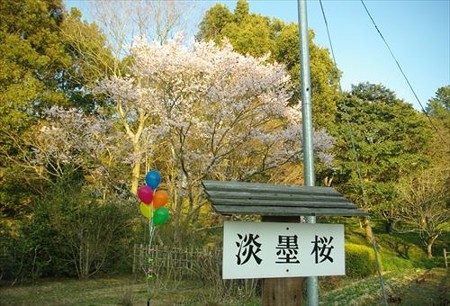 IMGP9853_0322