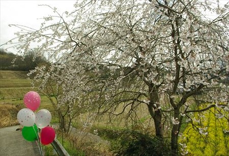 IMGP0507_0329