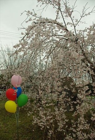 IMGP0759_0329