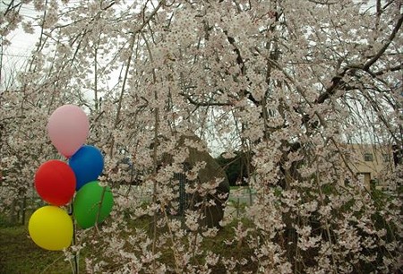 IMGP0817_0329