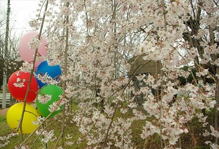 IMGP0819_0329
