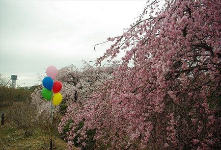 IMGP1186_0329