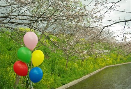IMGP1346_0330