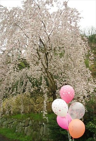 IMGP2602_0406