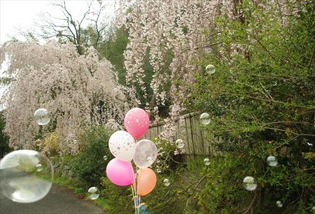 IMGP2705_0406