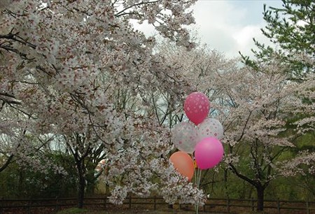 IMGP2776_0406