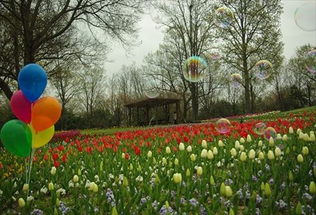 IMGP3803_0412