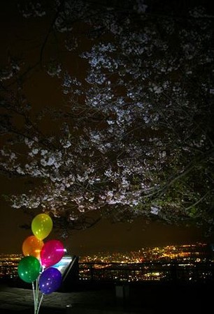IMGP4945_0412