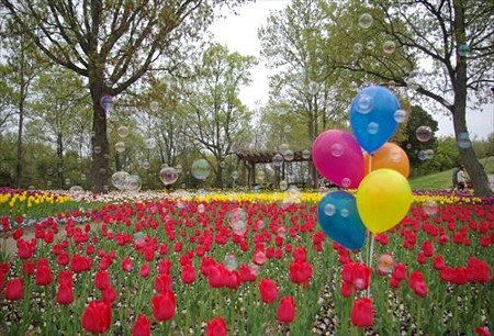 IMGP0082_0420