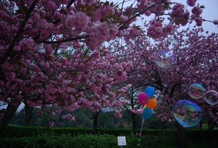 IMGP0004_0420