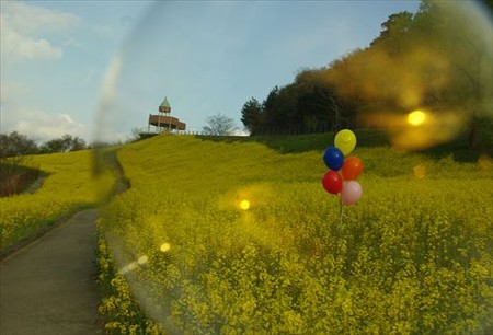 IMGP3882_0427