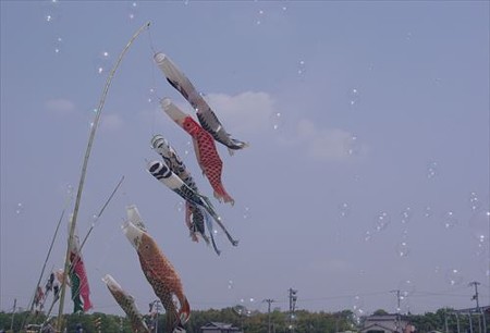IMGP5152_0503