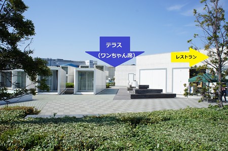 テラス
