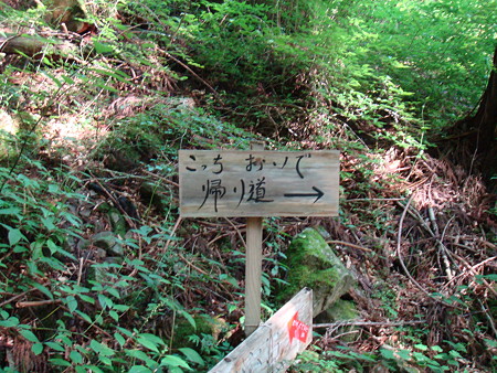 帰り道@四万十川