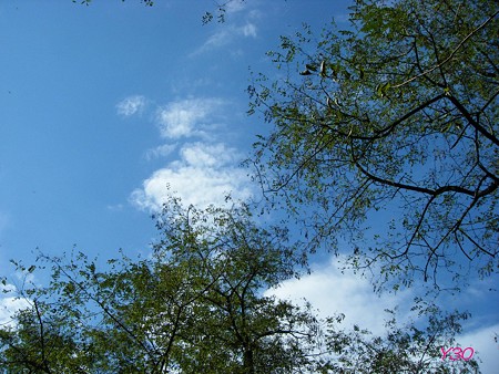 DSCF2384_pa