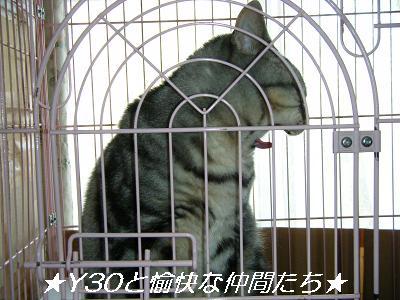 DSCF2764_pa