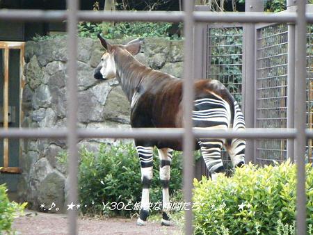 DSCF2881_pa