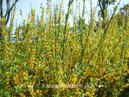 DSCF8079_pa
