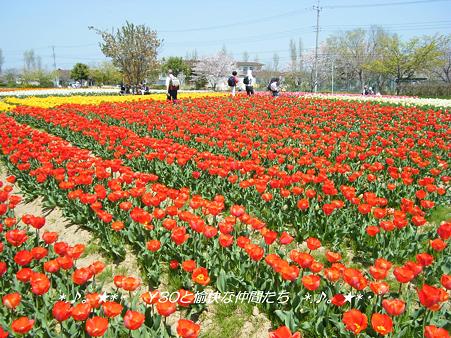 DSCF2991_pa