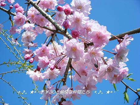 DSCF2986_pa