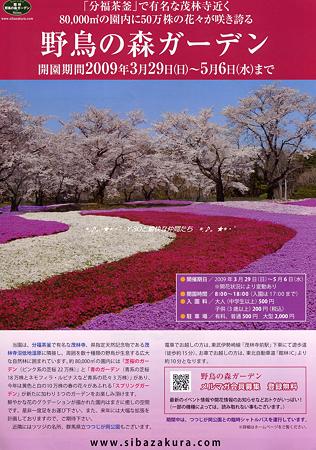 File野鳥の森ガーデンpa