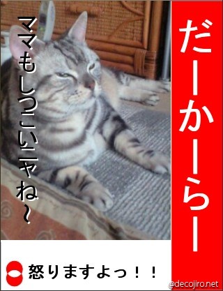 decojiro-20090501-012318