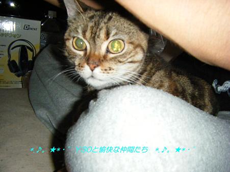 DSCF8353_pa