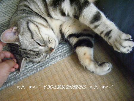 DSCF8352_pa