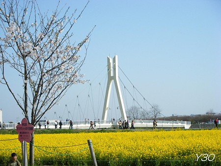 DSCF6526_P