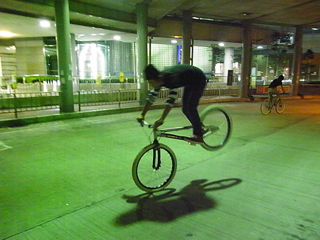 KOXX トライアル