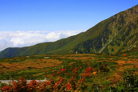 立山室堂付近の紅葉と雲海