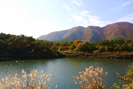 精進湖　(富士五湖)　紅葉