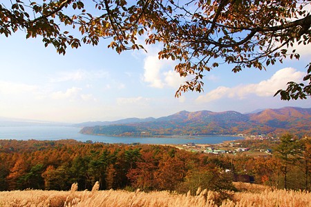 山中湖　パノラマ台より　紅葉