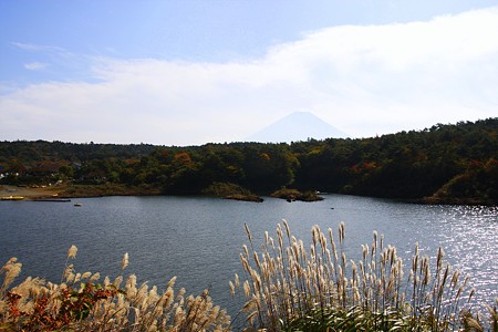 精進湖　　遠くに富士山？(^^;))