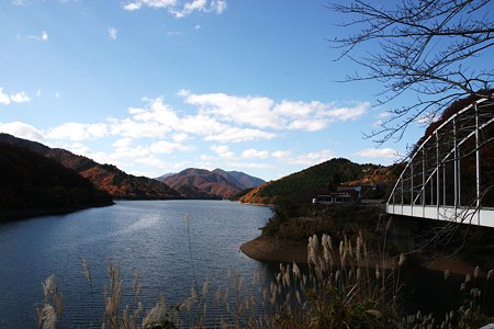 晩秋の九頭竜湖(4)