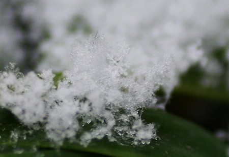 雪の結晶  中央