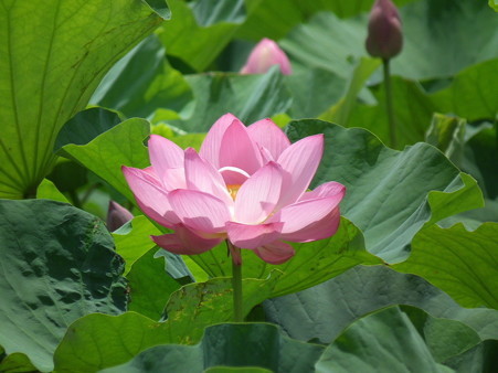DSCF0195