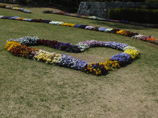 DSCF0023