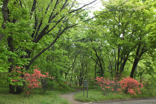 DSCF0077