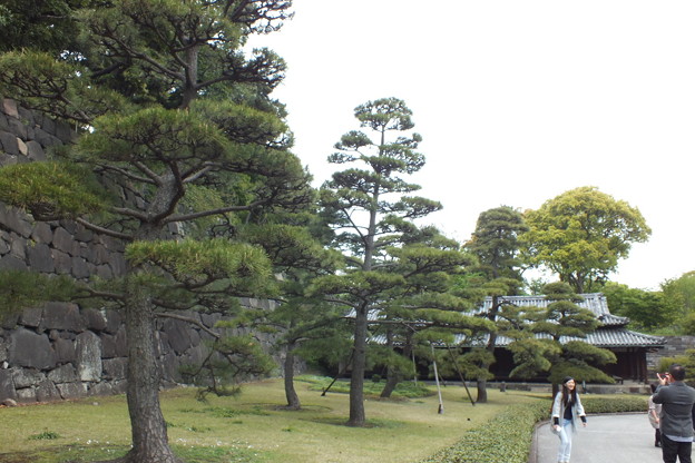 DSCF0071