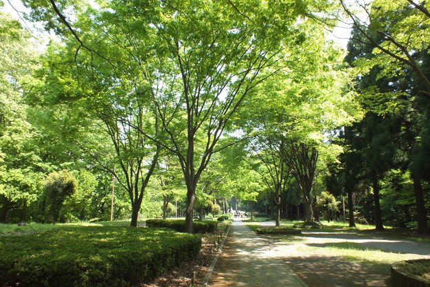 DSCF0015