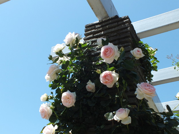 DSCF0130