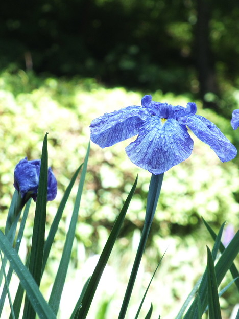 DSCF0053